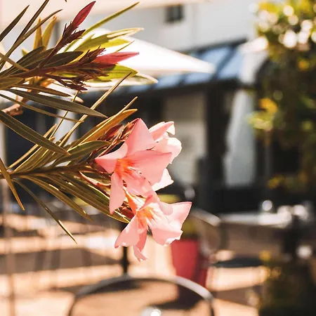 Ibis Styles Toulouse מלון Labège